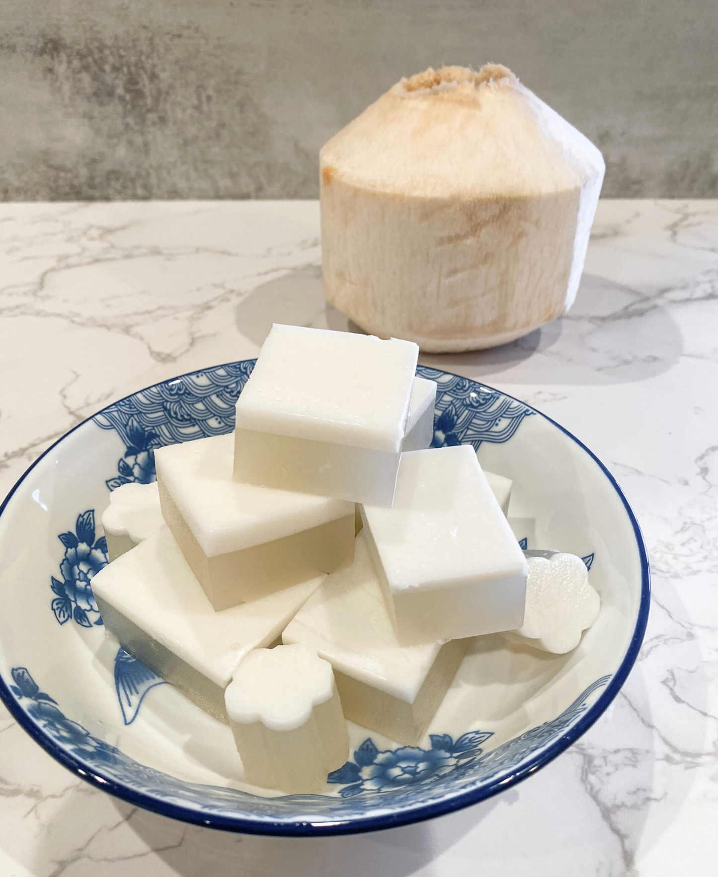 (MFW405) Coconut Jelly